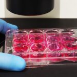 autolomous-and-cellular-origins-expand-cell-therapy-manufacturing-process