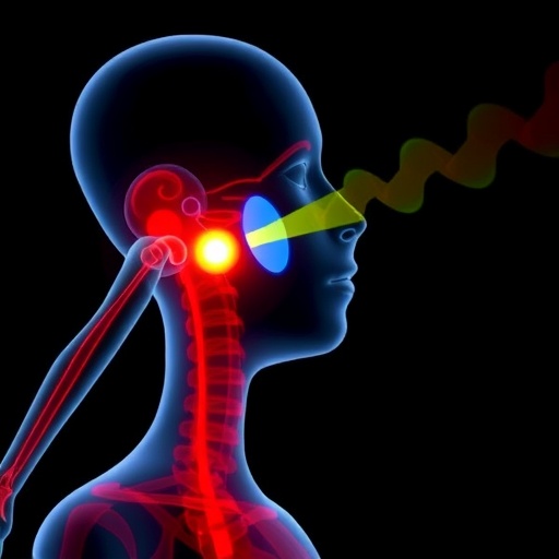 body-detects-temperature-shifts:-how-warm-and-cool-signals-are-sensed