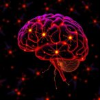 repetitive-neuronal-stimulation-reprograms-mature-neurons-into-immature-states