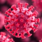 structure-guided-pcsk9-vaccine-demonstrates-promising-preclinical-results