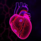 sulfotransferase-signaling-maintains-fibroblast-identity-and-blocks-cardiac-reprogramming