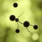 platelet-reactivity-in-older-polymorbid-patients-and-effects-of-4-methylcatechol