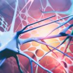 genetic-study-links-excessive-sweating-to-neurological-dysfunction