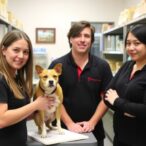 texas-tech-veterinary-students-publish-research-in-international-journals