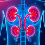 sirt6-and-its-modulators:-new-roles-in-kidney-disease-research