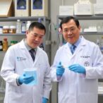 researchers-enhance-hydrogen-production-with-single-element-dual-site-substitution