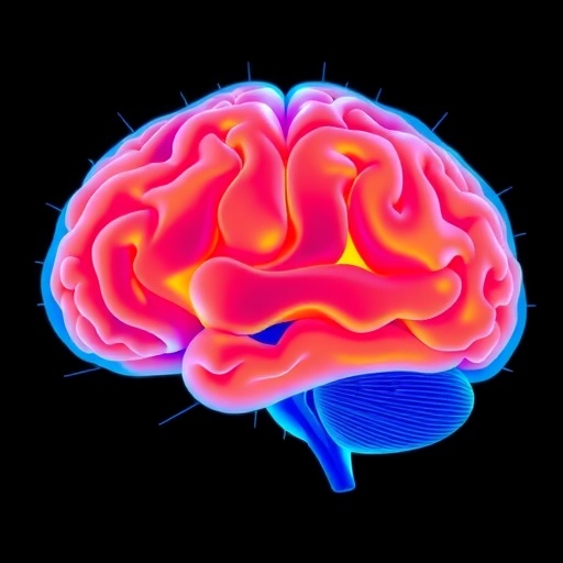 study-shows-adolescent-brain-remodeling-improves-memory-formation
