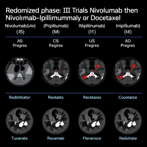 randomized-phase-ii-trial-tests-nivolumab-then-nivolumab-ipilimumab-or-docetaxel