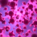 neonatal-monocyte-iron-handling-drives-immunometabolic-responses-in-sepsis