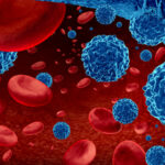 blood-cancer-therapies-informed-by-spatial-remodeling-of-bone-marrow