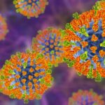 oral-antiviral-blocks-measles-like-virus-transmission-in-ferrets