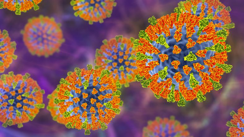 oral-antiviral-blocks-measles-like-virus-transmission-in-ferrets