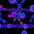 enantioselective-biosensors-guide-the-evolution-of-asymmetric-biocatalysts