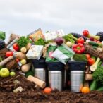 recycling-us-food-waste-cuts-climate-and-nutrient-pollution,-but-risks-soil-plastic-buildup