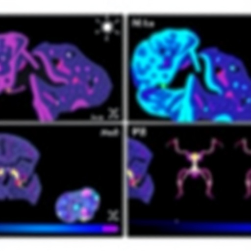 pathology-cot-trains-visual-chain-of-thought-agents-using-expert-whole-slide-diagnoses