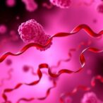 mitochondrial-trna-biogenesis-and-modifications-linked-to-human-disease