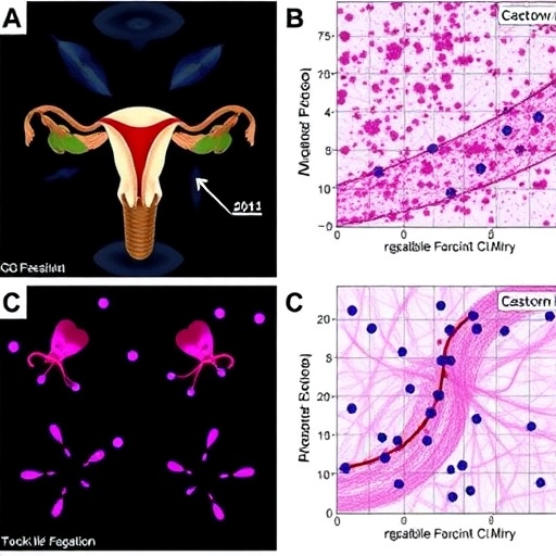 nonreproductive-tumor-progression-disrupts-ovarian-function-via-cxcl10–il18r1-signaling