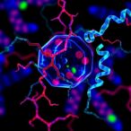 hdac6-serves-as-biomarker-for-b-all-dissemination-and-relapse