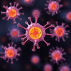 discovering-what-shapes-white-blood-cells-may-enable-new-cancer-therapies