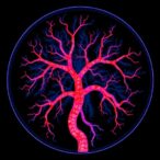 hybrid-system-enables-real-time-freehand-3d-panoramic-photoacoustic-angiography-mapping