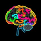 resting-state-eeg-reveals-spectral-power-and-connectivity-changes-in-msa
