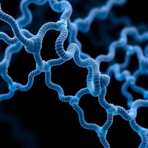 sericin-directs-silk-fibroin-assembly-into-ordered-nanofibrils,-study-finds