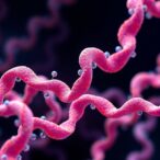 ai-redesigns-starting-conditions-to-improve-protein-evolution-outcomes