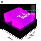 gate-tunable-mid-infrared-electroluminescence-via-te/mos2-p-n-heterojunctions