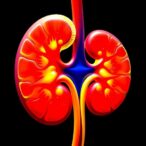 multicenter-large-language-model-predicts-acute-kidney-injury-and-explains-risk