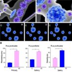 immunogenicity-and-safety-of-bnt162b2-in-juvenile-immune-mediated-inflammatory-disease-patients