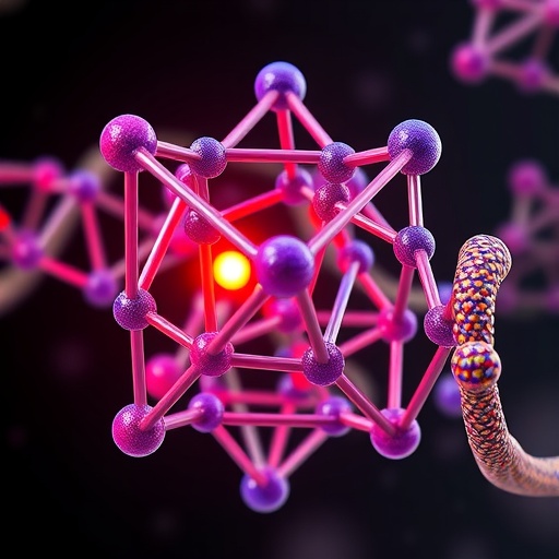 programmable-dna-tetrahedra-enable-selective,-efficient-capture-of-cells-and-proteins