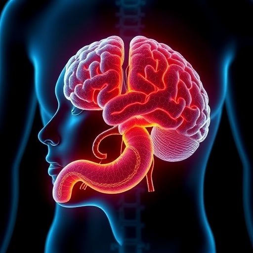 stomach-signals-help-brain-build-memories,-new-study-reveals