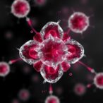 clonal-division-memory-in-humans-splits-between-healthy-blood-formation-and-aml