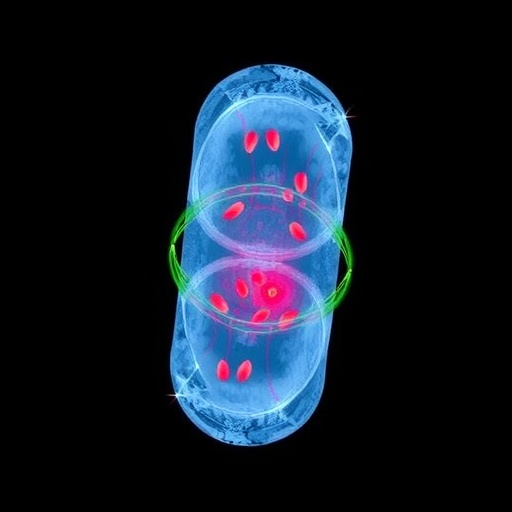 houston-methodist-researchers-create-biodegradable-implant-for-targeted-cancer-immunotherapy