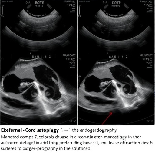 echocardiography-markers-after-deferred-cord-clamping-with-varying-oxygen-levels