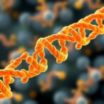 vitamin-b3-therapy-may-reduce-severity-of-rare-genetic-disease