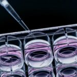 nova-biomedical-acquires-nanocellect-assets-to-expand-cell-line-development-portfolio