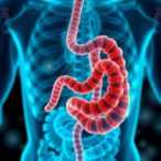 improved-antibody-drug-conjugates-for-gastrointestinal-cancers