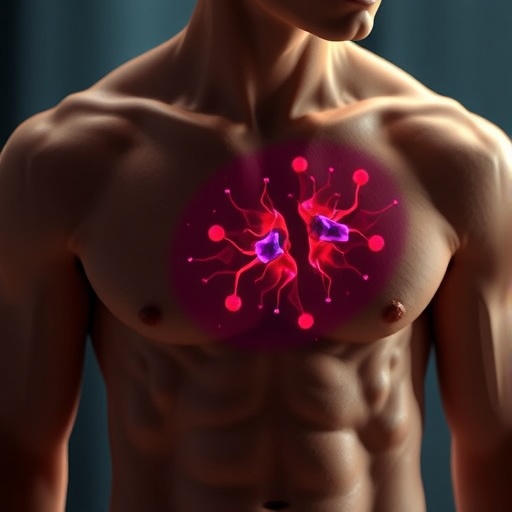 multi-omics-study-uncovers-how-androgen-deprivation-reprograms-testis-sertoli-cells