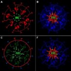 sacf-and-gila-multi-site-study-evaluates-crispr/cas9-edited-cell-transformation-in-vitro