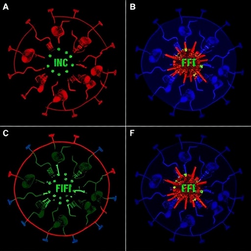 sacf-and-gila-multi-site-study-evaluates-crispr/cas9-edited-cell-transformation-in-vitro