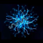 in-vivo-crispr-base-editing-for-treatment-of-huntington’s-disease