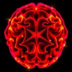 massey-researchers-uncover-pathway-that-could-transform-glioblastoma-treatment-options