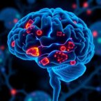 mitochondria-plaques-in-alzheimer’s-linked-to-buildup-and-lysosomal-dysfunction