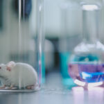 base-editing-strategy-alleviates-huntington’s-disease-in-mice