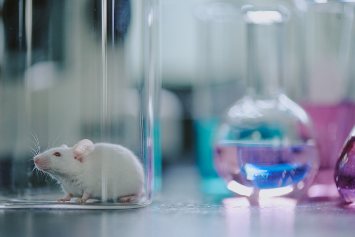 base-editing-strategy-alleviates-huntington’s-disease-in-mice