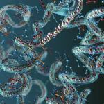 a-computational-framework-for-designing-disordered-proteins-at-large-scale