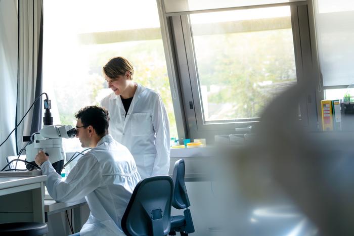 ketamine-triggers-sex-specific-brain-recovery-responses