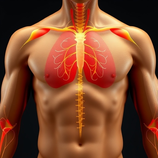 arginine-strengthens-the-body’s-defenses-against-tumors-and-viral-infections