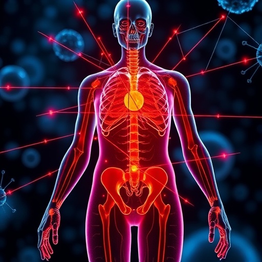 scientists-discover-immune-navigation-system-that-could-improve-chronic-inflammation-treatments